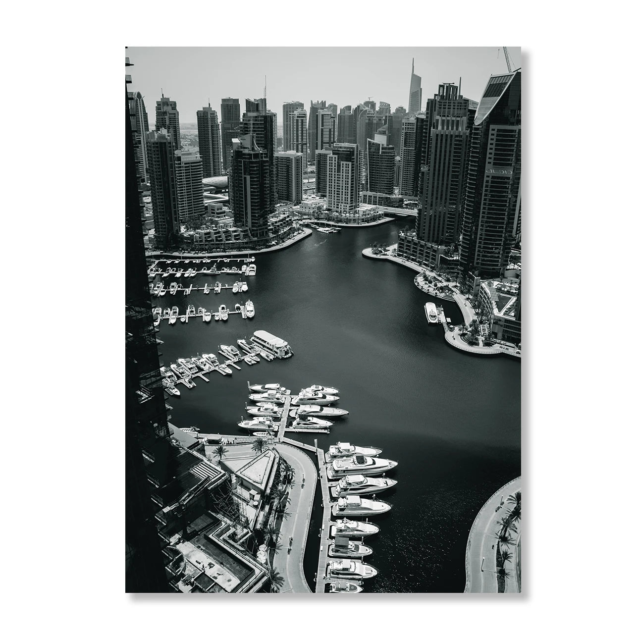 Black-White-116 Paper